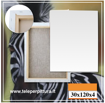 Produzione Tele Per dipingere 30x120 spessore 4cm