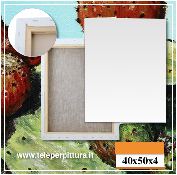 Tela Per Dipingere Catanzaro 40x50 spessore 4cm