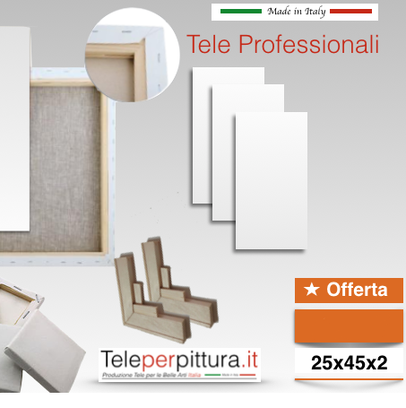 Tele per Pittura 25x45x2