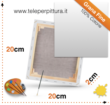 Tele per pittori 20x20 online